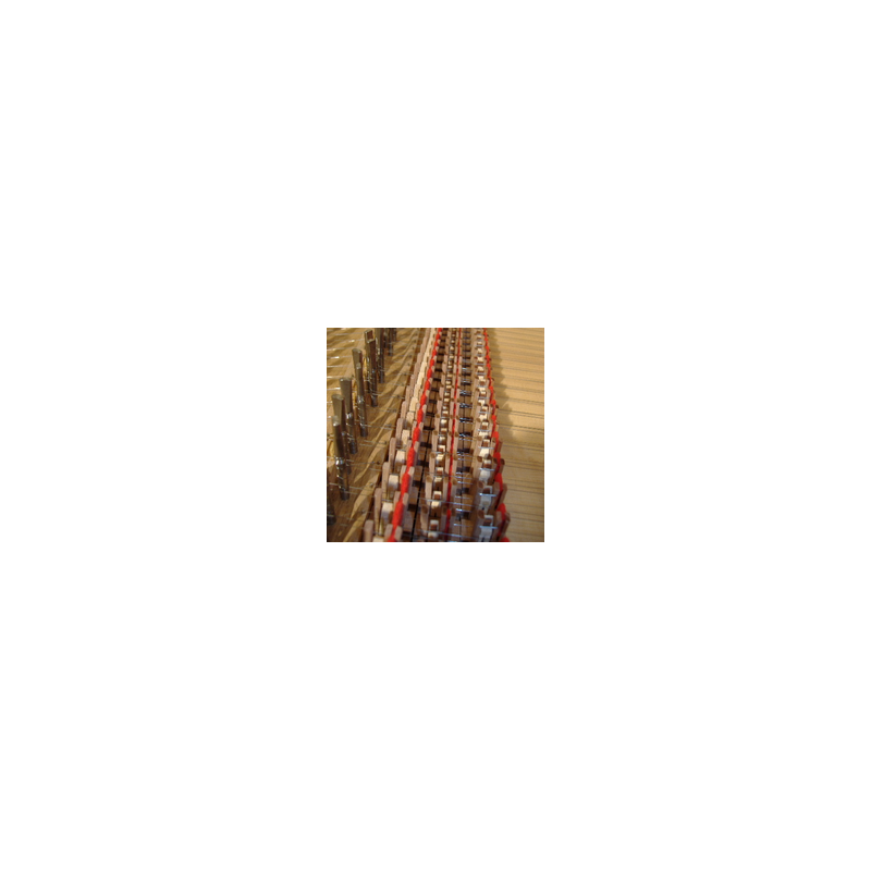 Bec plectre clavecin Bec plectre clavecin
